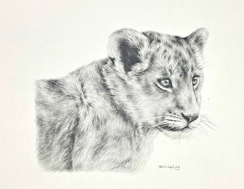 Original sarah stribbling - original, lion